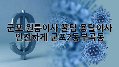 군포 원룸이사 꿀팁🍯 용달이사 안전하게! [군포2동/부곡동]