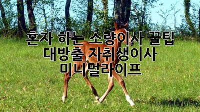 📦 혼자 하는 소량이사, 꿀팁 대방출! #자취생이사 #미니멀라이프