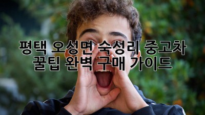 평택 오성면 숙성리 중고차 꿀팁🍯: 완벽 구매 가이드