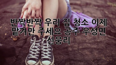 ✨반짝반짝✨ 우리 집 청소, 이제 맡겨만 주세요! (공주 우성면 신웅리)