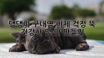 댕댕이 구내염, 이제 걱정 뚝! 건강한 입 안 만들기🐶